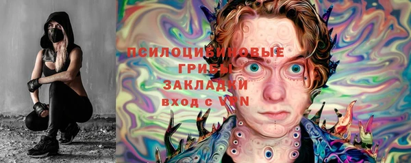 прущие грибы Бугульма