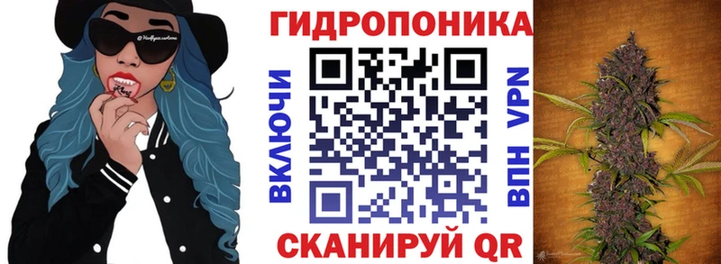 закладки  Владивосток  МАРИХУАНА VHQ 